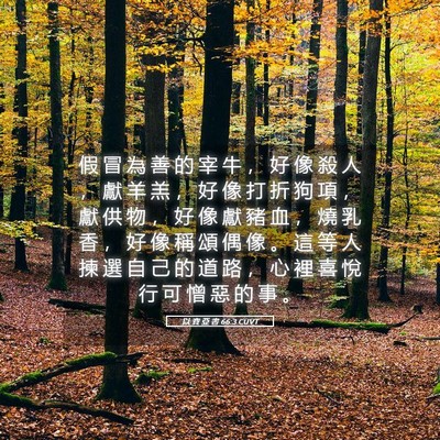 Picture 05 - 以 賽 亞 書 66:3 CUVT - 假 冒 為 善 的 宰 牛 ， 好 像 殺 人 - Bible Verse Picture