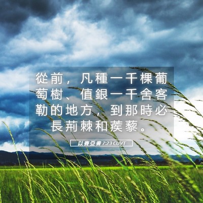 Picture 05 - 以 賽 亞 書 7:23 CUVT - 從 前 ， 凡 種 一 千 棵 葡 萄 樹 、 - Bible Verse Picture
