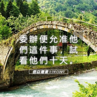 Picture 05 - 但 以 理 書 1:14 CUVT - 委 辦 便 允 准 他 們 這 件 事 ， 試 - Bible Verse Picture