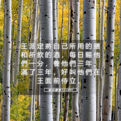 Picture 05 - 但 以 理 書 1:5 CUVT - 王 派 定 將 自 己 所 用 的 膳 和 所 - Bible Verse Picture