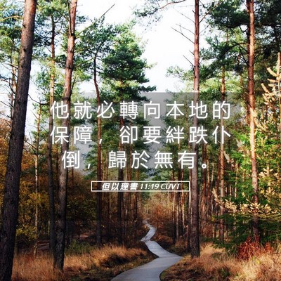 Picture 05 - 但 以 理 書 11:19 CUVT - 他 就 必 轉 向 本 地 的 保 障 ， 卻 - Bible Verse Picture