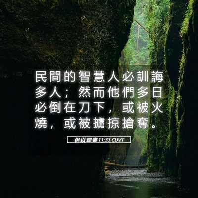 Picture 05 - 但 以 理 書 11:33 CUVT - 民 間 的 智 慧 人 必 訓 誨 多 人 ； - Bible Verse Picture