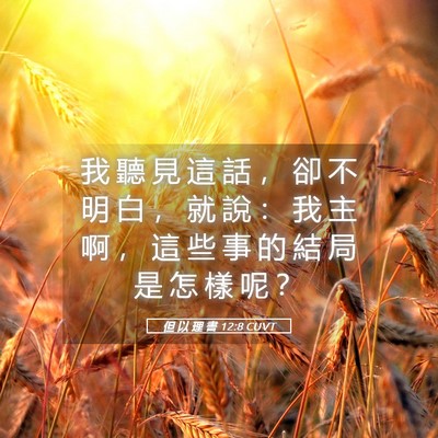 Picture 05 - 但 以 理 書 12:8 CUVT - 我 聽 見 這 話 ， 卻 不 明 白 ， 就 - Bible Verse Picture