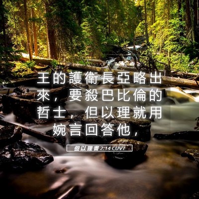 Picture 05 - 但 以 理 書 2:14 CUVT - 王 的 護 衛 長 亞 略 出 來 ， 要 殺 - Bible Verse Picture