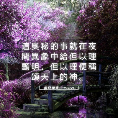 Picture 05 - 但 以 理 書 2:19 CUVT - 這 奧 秘 的 事 就 在 夜 間 異 象 中 - Bible Verse Picture