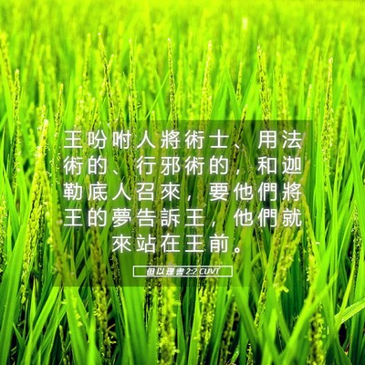 Picture 05 - 但 以 理 書 2:2 CUVT - 王 吩 咐 人 將 術 士 、 用 法 術 的 - Bible Verse Picture