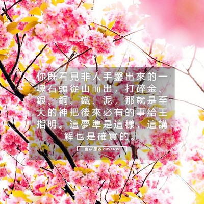Picture 05 - 但 以 理 書 2:45 CUVT - 你 既 看 見 非 人 手 鑿 出 來 的 一 - Bible Verse Picture