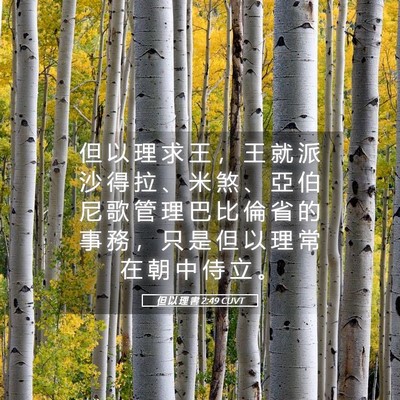 Picture 05 - 但 以 理 書 2:49 CUVT - 但 以 理 求 王 ， 王 就 派 沙 得 拉 - Bible Verse Picture
