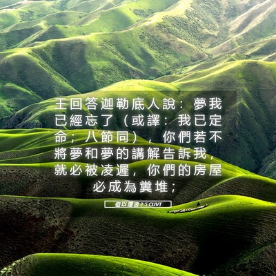 Picture 05 - 但 以 理 書 2:5 CUVT - 王 回 答 迦 勒 底 人 說 ： 夢 我 已 - Bible Verse Picture