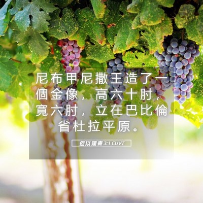 Picture 05 - 但 以 理 書 3:1 CUVT - 尼 布 甲 尼 撒 王 造 了 一 個 金 像 - Bible Verse Picture
