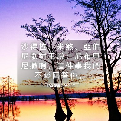 Picture 05 - 但 以 理 書 3:16 CUVT - 沙 得 拉 、 米 煞 、 亞 伯 尼 歌 對 - Bible Verse Picture