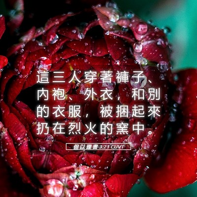 Picture 05 - 但 以 理 書 3:21 CUVT - 這 三 人 穿 著 褲 子 、 內 袍 、 外 - Bible Verse Picture