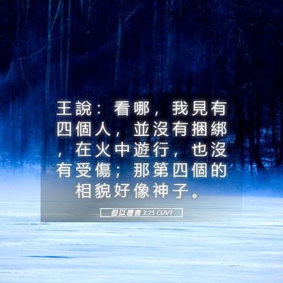 Picture 05 - 但 以 理 書 3:25 CUVT - 王 說 ： 看 哪 ， 我 見 有 四 個 人 - Bible Verse Picture