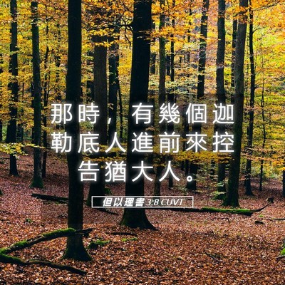 Picture 05 - 但 以 理 書 3:8 CUVT - 那 時 ， 有 幾 個 迦 勒 底 人 進 前 - Bible Verse Picture