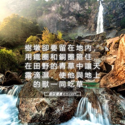 Picture 05 - 但 以 理 書 4:15 CUVT - 樹 墩 卻 要 留 在 地 內 ， 用 鐵 圈 - Bible Verse Picture