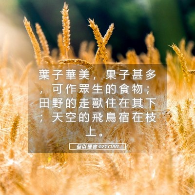 Picture 05 - 但 以 理 書 4:21 CUVT - 葉 子 華 美 ， 果 子 甚 多 ， 可 作 - Bible Verse Picture