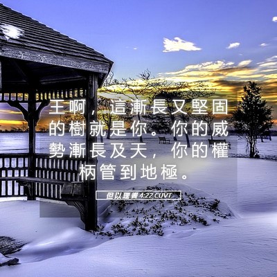 Picture 05 - 但 以 理 書 4:22 CUVT - 王 啊 ， 這 漸 長 又 堅 固 的 樹 就 - Bible Verse Picture