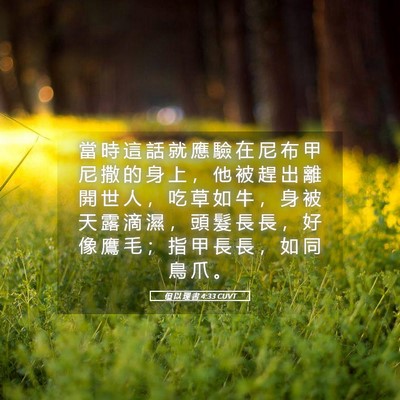 Picture 05 - 但 以 理 書 4:33 CUVT - 當 時 這 話 就 應 驗 在 尼 布 甲 尼 - Bible Verse Picture
