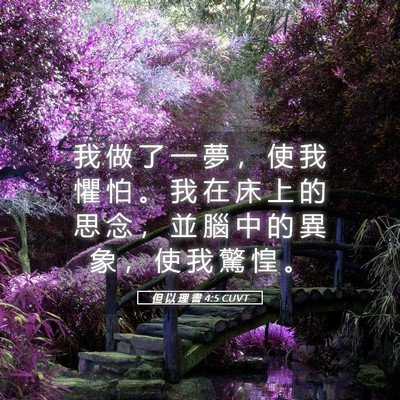 Picture 05 - 但 以 理 書 4:5 CUVT - 我 做 了 一 夢 ， 使 我 懼 怕 。 我 - Bible Verse Picture
