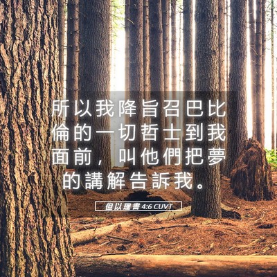 Picture 05 - 但 以 理 書 4:6 CUVT - 所 以 我 降 旨 召 巴 比 倫 的 一 切 - Bible Verse Picture