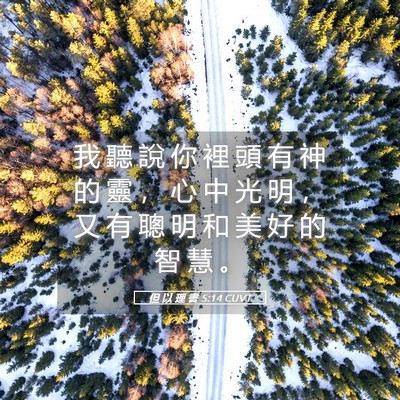 Picture 05 - 但 以 理 書 5:14 CUVT - 我 聽 說 你 裡 頭 有 神 的 靈 ， 心 - Bible Verse Picture