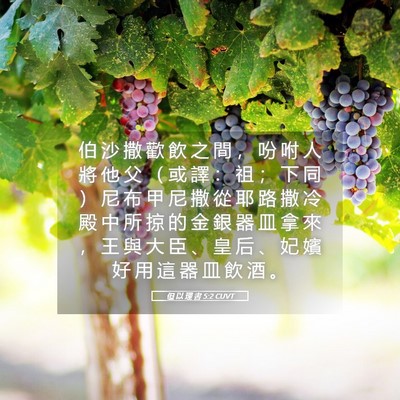 Picture 05 - 但 以 理 書 5:2 CUVT - 伯 沙 撒 歡 飲 之 間 ， 吩 咐 人 將 - Bible Verse Picture