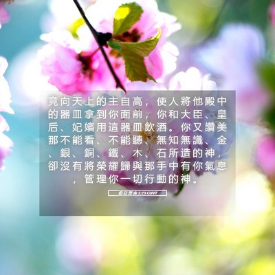 Picture 05 - 但 以 理 書 5:23 CUVT - 竟 向 天 上 的 主 自 高 ， 使 人 將 - Bible Verse Picture