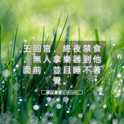 Picture 05 - 但 以 理 書 6:18 CUVT - 王 回 宮 ， 終 夜 禁 食 ， 無 人 拿 - Bible Verse Picture