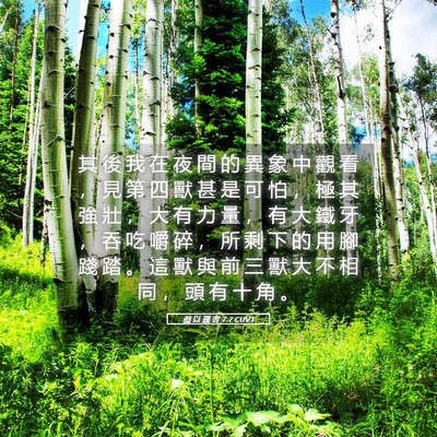 Picture 05 - 但 以 理 書 7:7 CUVT - 其 後 我 在 夜 間 的 異 象 中 觀 看 - Bible Verse Picture