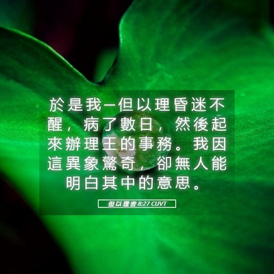 Picture 05 - 但 以 理 書 8:27 CUVT - 於 是 我 ─ 但 以 理 昏 迷 不 醒 ， - Bible Verse Picture