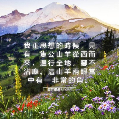 Picture 05 - 但 以 理 書 8:5 CUVT - 我 正 思 想 的 時 候 ， 見 有 一 隻 - Bible Verse Picture