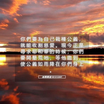 Picture 05 - 何 西 阿 書 10:12 CUVT - 你 們 要 為 自 己 栽 種 公 義 ， 就 - Bible Verse Picture