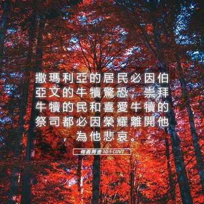 Picture 05 - 何 西 阿 書 10:5 CUVT - 撒 瑪 利 亞 的 居 民 必 因 伯 亞 文 - Bible Verse Picture