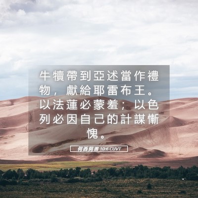 Picture 05 - 何 西 阿 書 10:6 CUVT - 牛 犢 帶 到 亞 述 當 作 禮 物 ， 獻 - Bible Verse Picture