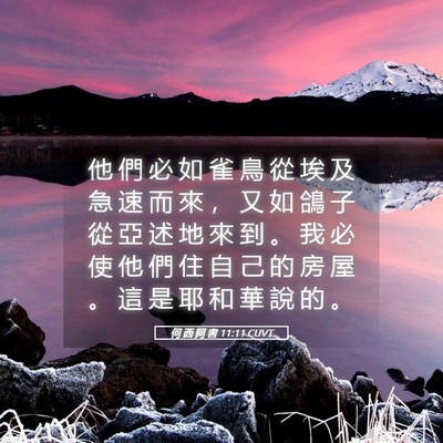 Picture 05 - 何 西 阿 書 11:11 CUVT - 他 們 必 如 雀 鳥 從 埃 及 急 速 而 - Bible Verse Picture