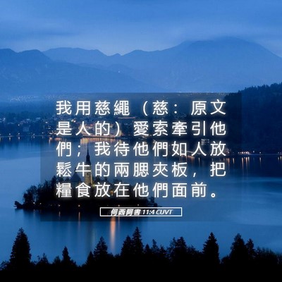Picture 05 - 何 西 阿 書 11:4 CUVT - 我 用 慈 繩 （ 慈 ： 原 文 是 人 的 - Bible Verse Picture