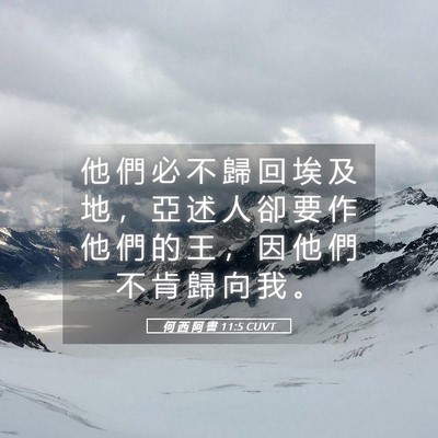 Picture 05 - 何 西 阿 書 11:5 CUVT - 他 們 必 不 歸 回 埃 及 地 ， 亞 述 - Bible Verse Picture