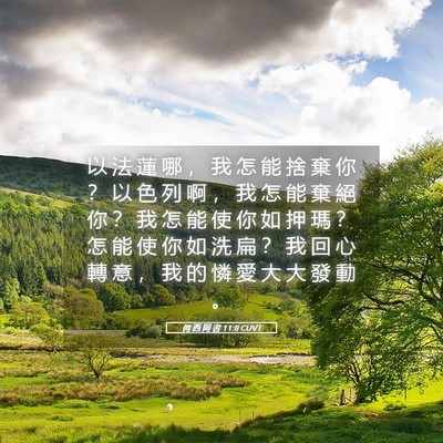 Picture 05 - 何 西 阿 書 11:8 CUVT - 以 法 蓮 哪 ， 我 怎 能 捨 棄 你 ？ - Bible Verse Picture