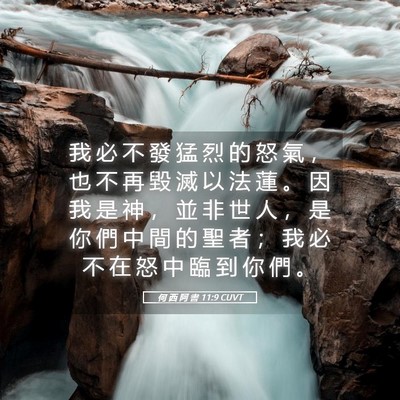 Picture 05 - 何 西 阿 書 11:9 CUVT - 我 必 不 發 猛 烈 的 怒 氣 ， 也 不 - Bible Verse Picture