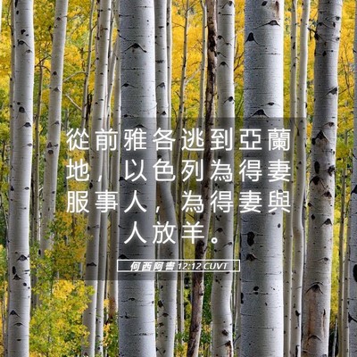 Picture 05 - 何 西 阿 書 12:12 CUVT - 從 前 雅 各 逃 到 亞 蘭 地 ， 以 色 - Bible Verse Picture