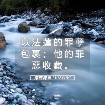 Picture 05 - 何 西 阿 書 13:12 CUVT - 以 法 蓮 的 罪 孽 包 裹 ； 他 的 罪 - Bible Verse Picture