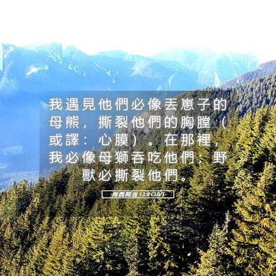 Picture 05 - 何 西 阿 書 13:8 CUVT - 我 遇 見 他 們 必 像 丟 崽 子 的 母 - Bible Verse Picture