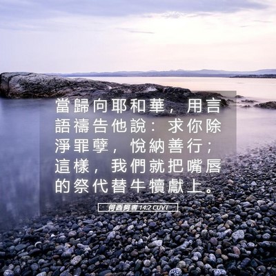 Picture 05 - 何 西 阿 書 14:2 CUVT - 當 歸 向 耶 和 華 ， 用 言 語 禱 告 - Bible Verse Picture