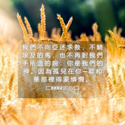 Picture 05 - 何 西 阿 書 14:3 CUVT - 我 們 不 向 亞 述 求 救 ， 不 騎 埃 - Bible Verse Picture