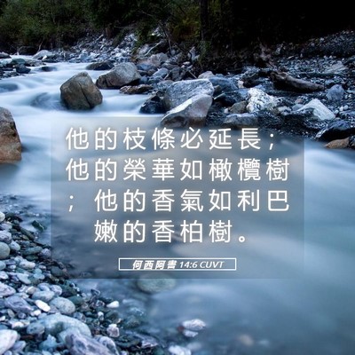 Picture 05 - 何 西 阿 書 14:6 CUVT - 他 的 枝 條 必 延 長 ； 他 的 榮 華 - Bible Verse Picture