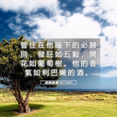 Picture 05 - 何 西 阿 書 14:7 CUVT - 曾 住 在 他 蔭 下 的 必 歸 回 ， 發 - Bible Verse Picture