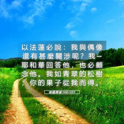 Picture 05 - 何 西 阿 書 14:8 CUVT - 以 法 蓮 必 說 ： 我 與 偶 像 還 有 - Bible Verse Picture