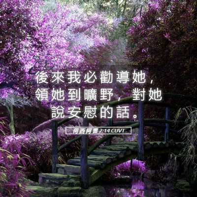 Picture 05 - 何 西 阿 書 2:14 CUVT - 後 來 我 必 勸 導 她 ， 領 她 到 曠 - Bible Verse Picture