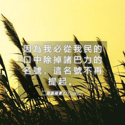 Picture 05 - 何 西 阿 書 2:17 CUVT - 因 為 我 必 從 我 民 的 口 中 除 掉 - Bible Verse Picture