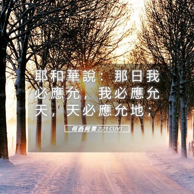 Picture 05 - 何 西 阿 書 2:21 CUVT - 耶 和 華 說 ： 那 日 我 必 應 允 ， - Bible Verse Picture